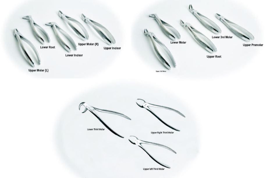 TOPDENT EXTRACTION FORCEP SET OF 12