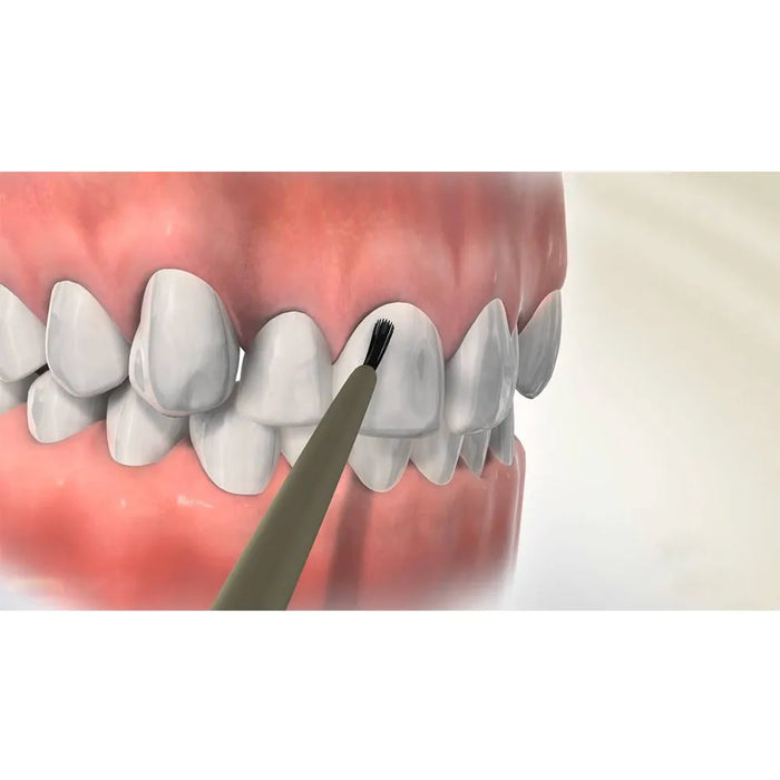 Prevest Denpro Fusion Crysta Adhesive Primer