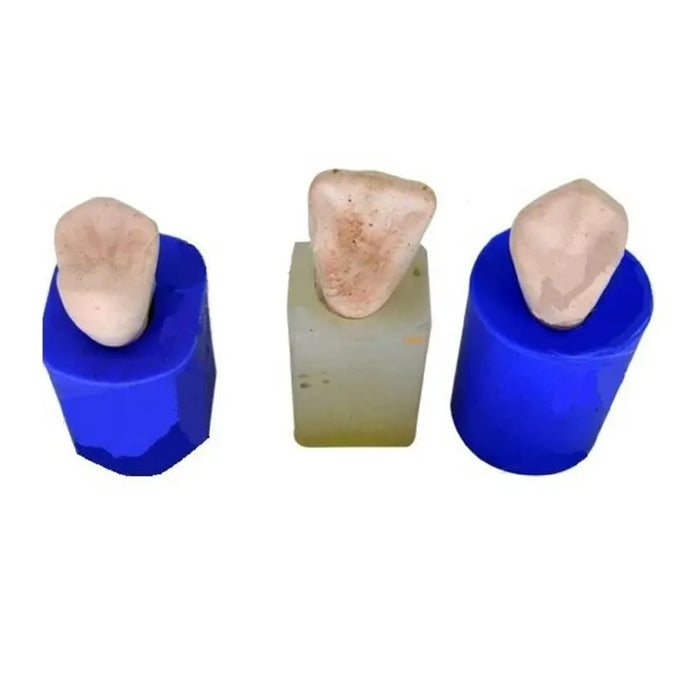 API Model Former - Teeth Enlarger