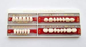 biorock two layer acrylic teeth, for clinical in vita shades