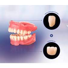 biorock two layer acrylic teeth, for clinical in vita shades