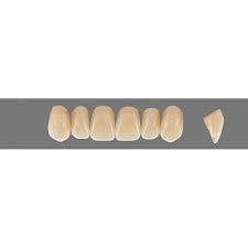 primaform single layer resin teeth in vita shades