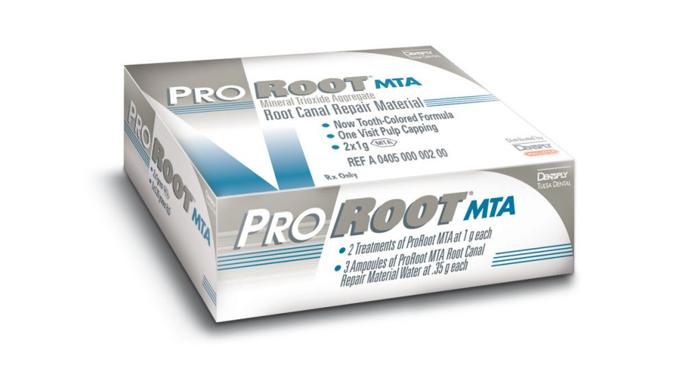 dentsply pro root mta root repair material