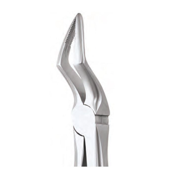 gdc extraction forceps upper roots  ergonomic fx51ae