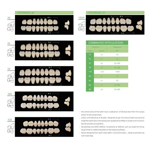 huge synthetic polymer teeth-kaili