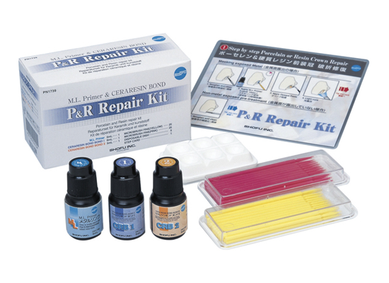 P&R Repair Kit - [dental_express]