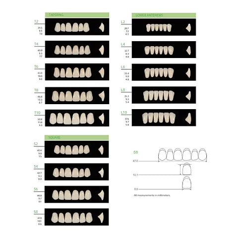 huge synthetic polymer teeth-kaili