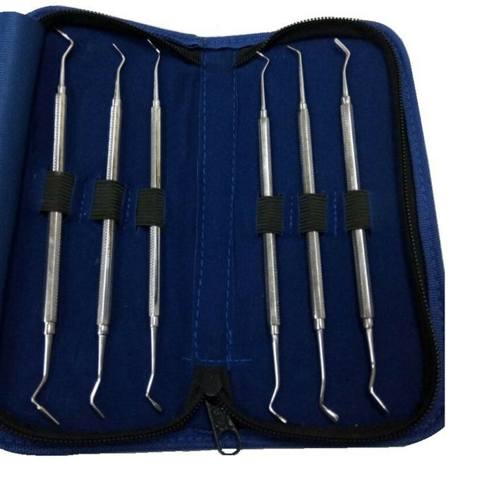 api plastic filling instrument kit set of 6 -regular