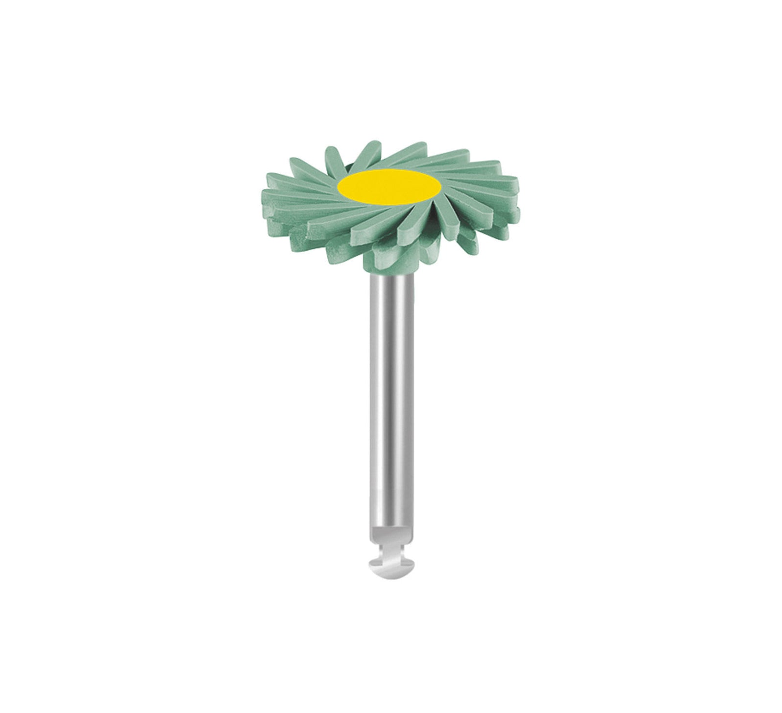 eve diacera zirconia polishing kits — DentalExpress